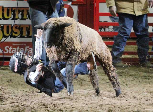 San Antonio Stock Show & Rodeo - FEBRUARY